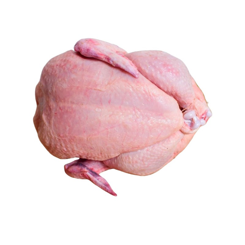 Poulet de chair